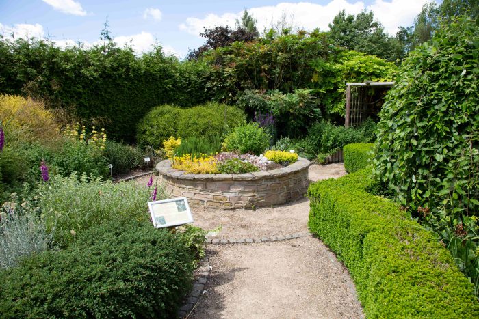 Garden with a round stone wall and various bushes, trees and purple and yellow flowersand a gravel pathway.